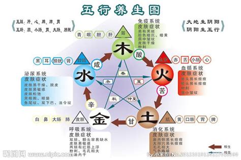 火生金|五行相生相剋:五行,四季五行,相生相剋,概念對應,五行。